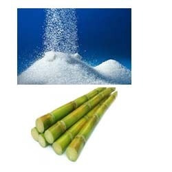 Manufacturers Exporters and Wholesale Suppliers of Sugar Enzyme Bhiwandi Maharashtra